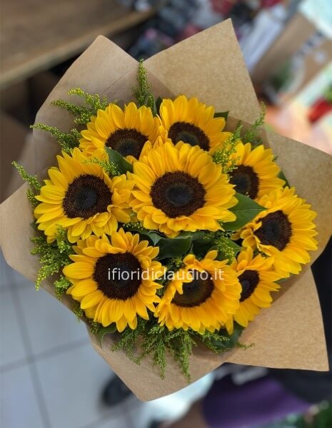 Girasoli